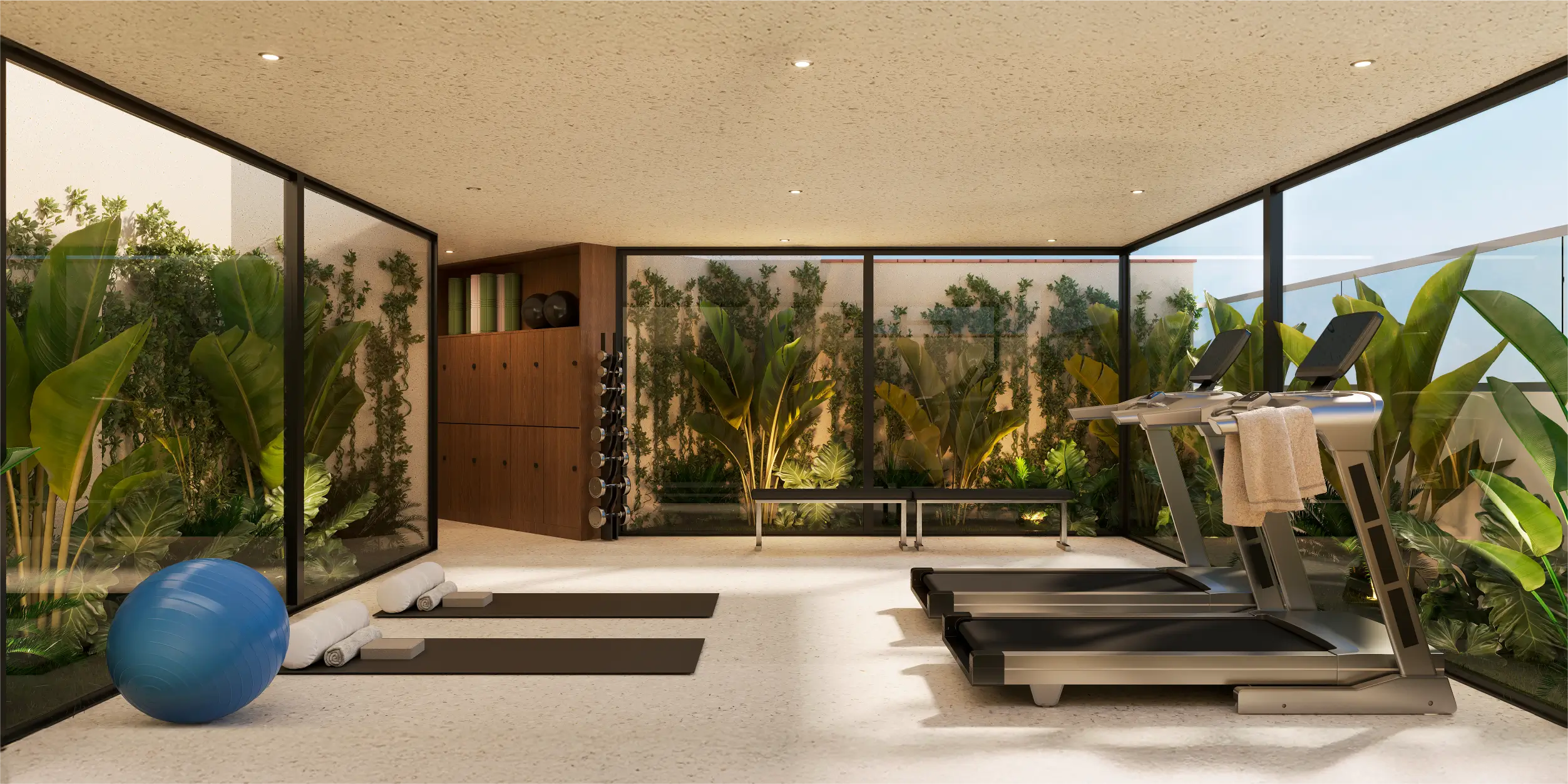 Zona Wellness